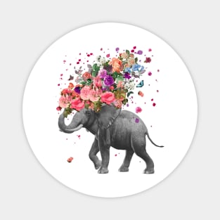 Elephant splash Magnet
